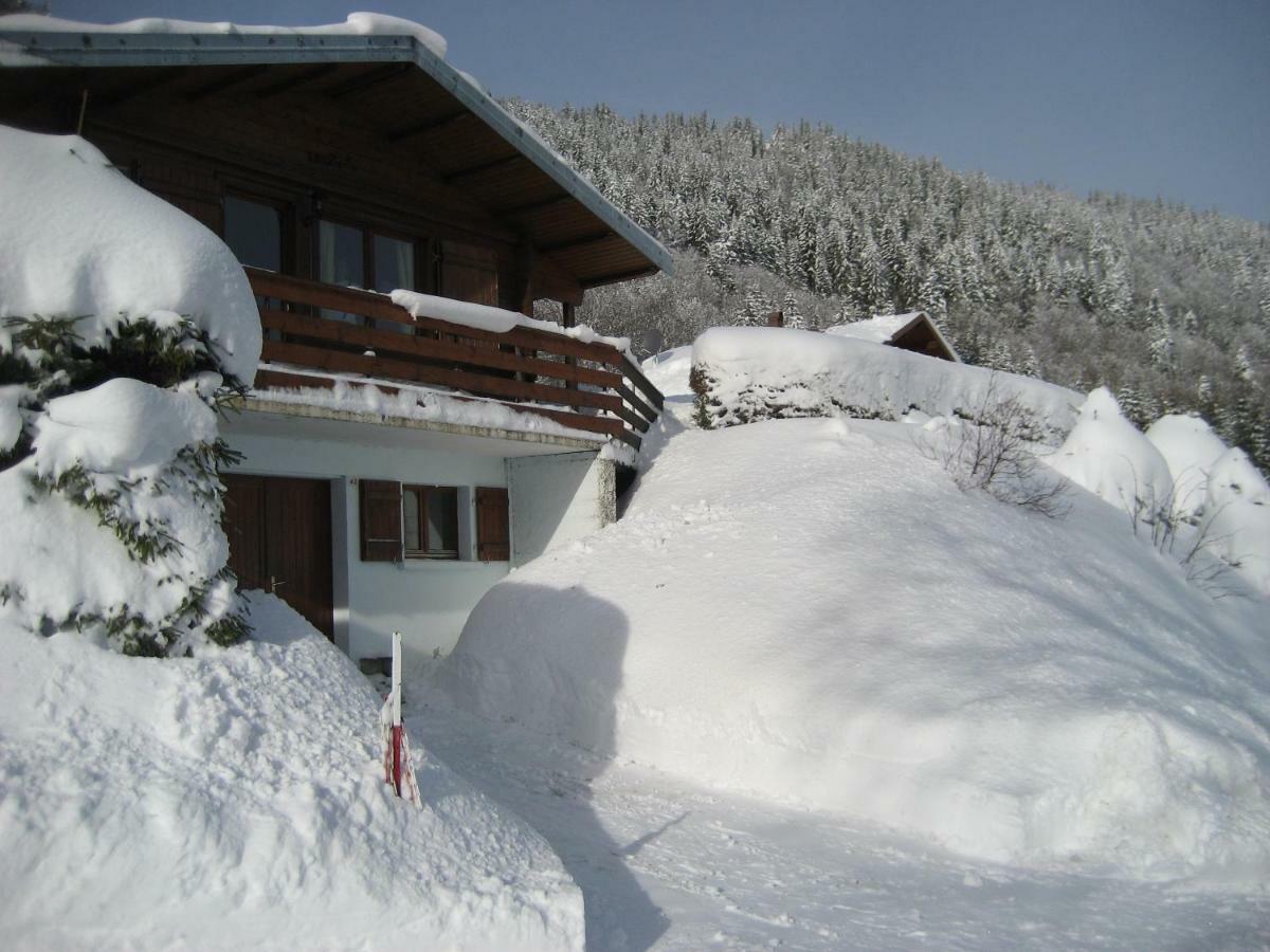 Chalet Les Jonquilles La Bresse Exteriér fotografie